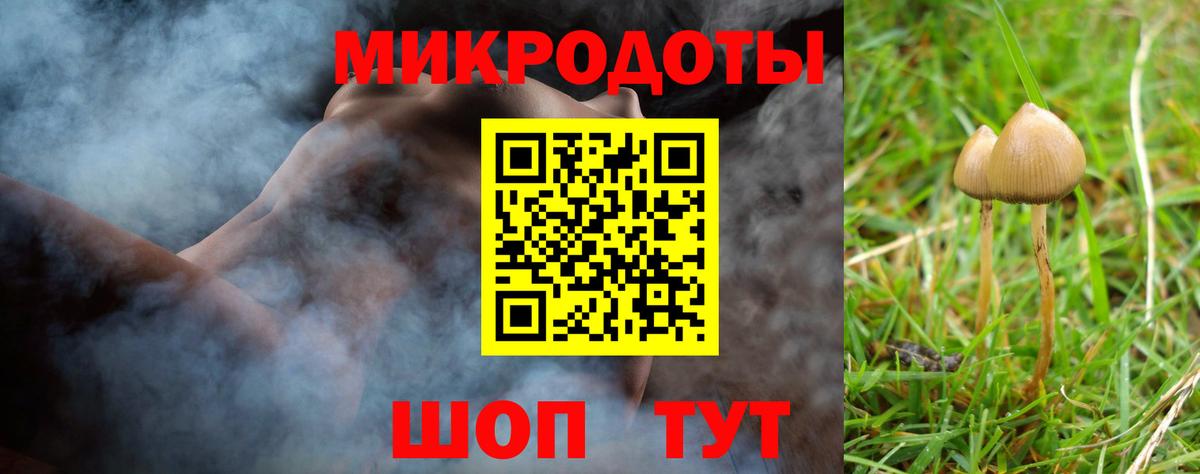 Псилоцибиновые грибы Psilocybe  Псилоцибиновые грибы Psilocybine cubensis  Астрахань  Вход с VPN 